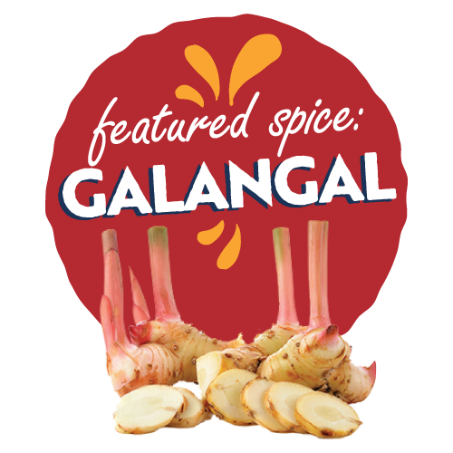 Galangal whole root and slices
