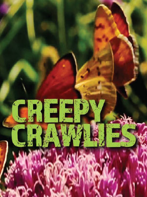 Creepy Crawlies