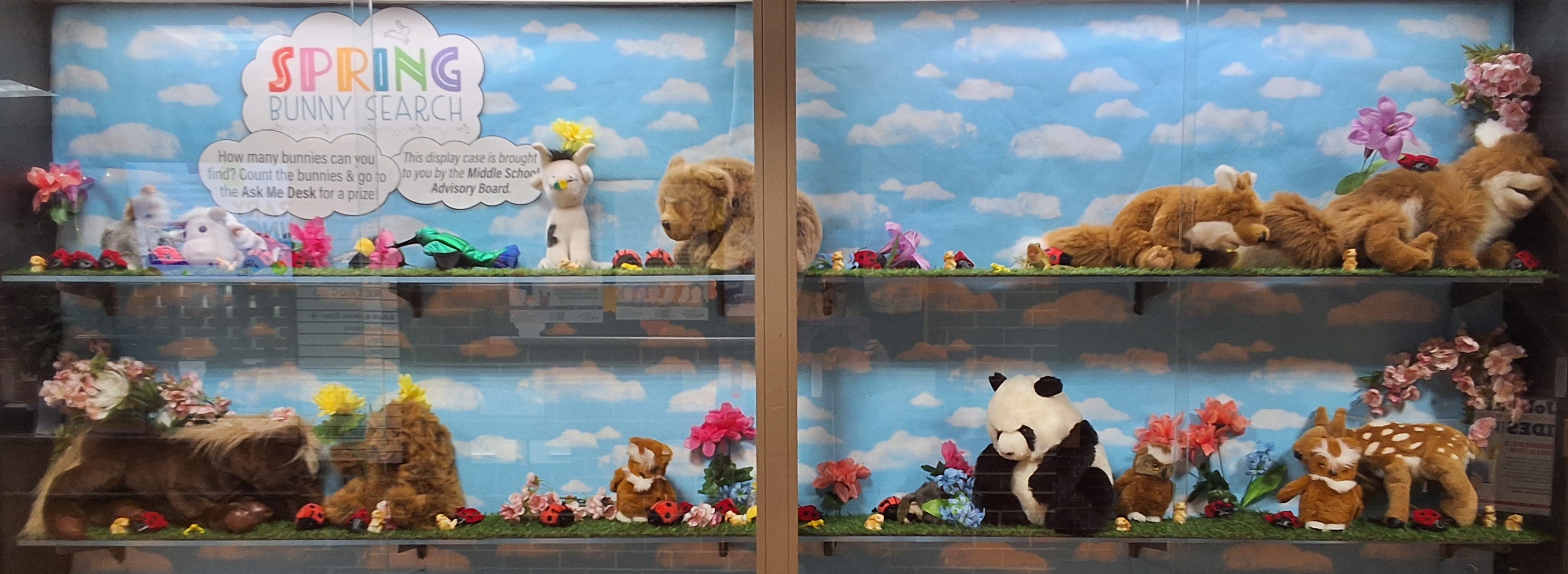 Spring bunny search display case