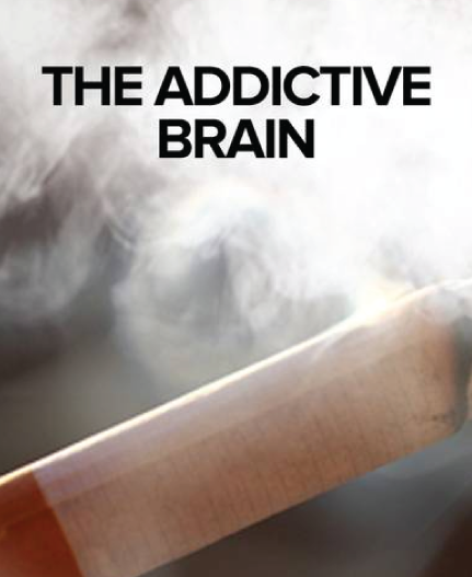 The Addictive Brain